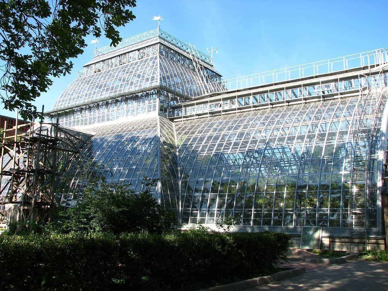 Recorrer el Jardín Botánico de San Petersburgo; Conocer el Jardín Botánico de San Petersburgo; Visitar el Jardín Botánico de San Petersburgo