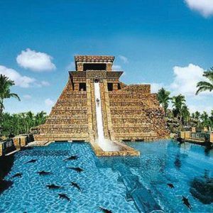 Visita con Delfines en Dubai