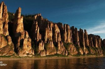 El Bosque de Piedra de Lena