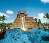 Visita con Delfines en Dubai