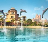 Visita con Delfines en Dubai