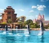 Visita con Delfines en Dubai
